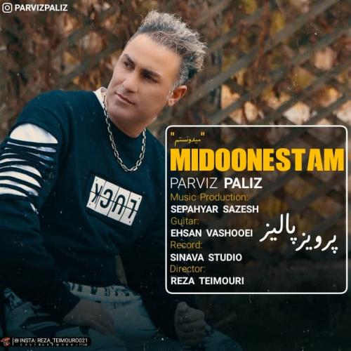 پرویز پالیز میدونستم